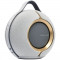 Портативная акустика Devialet Mania Opéra de Paris
